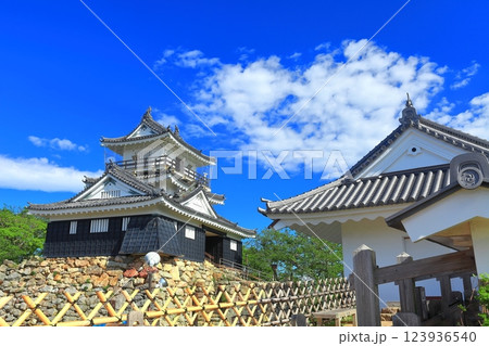 【静岡県】新緑の浜松城 123936540