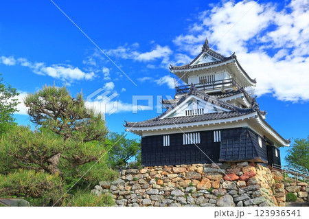 【静岡県】新緑の浜松城 【静岡県】新緑の浜松城 123936541