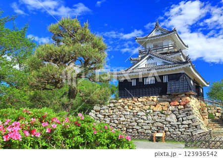 【静岡県】新緑の浜松城 123936542
