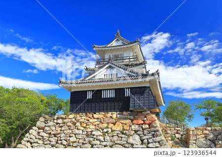 【静岡県】新緑の浜松城 【静岡県】新緑の浜松城 123936544