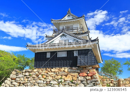【静岡県】新緑の浜松城 【静岡県】新緑の浜松城 123936545
