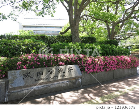 成田市役所(看板と本庁舎) 成田市役所(看板と本庁舎) 123936578