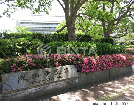 成田市役所（看板と本庁舎） 123936579