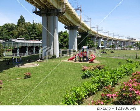 成田市の栗山公園 成田市の栗山公園 123936649