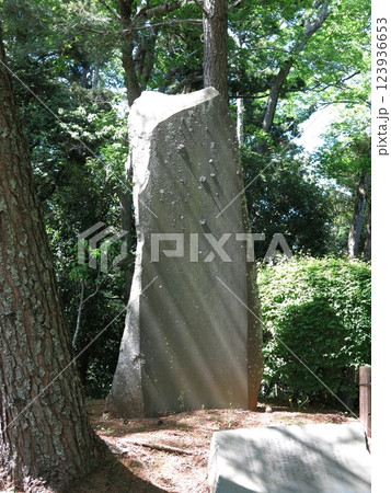 成田市の成田山公園にある鈴木三重吉文学碑 123936653