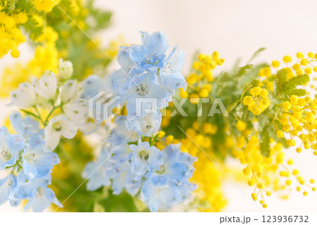 ミモザとデルフィニウムのアレンジメント 123936732