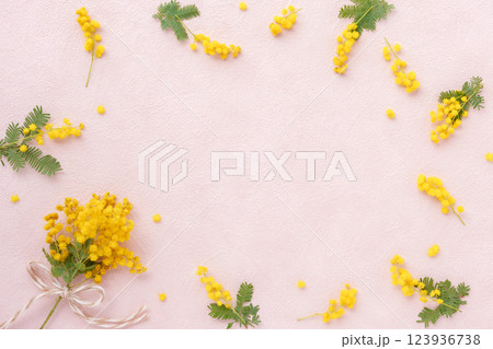 ミモザのフラワーフレーム 123936738