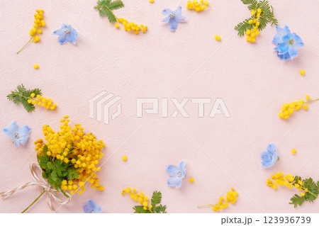 ミモザとデルフィニウムのフラワーフレーム 123936739