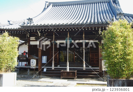 廬山天台講寺の風景 123936801