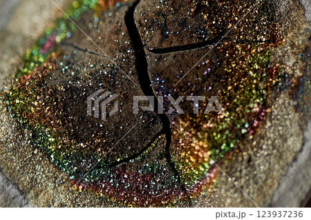 Geology, spectro pyrite stone. Iridescent shimmer, macro 123937236
