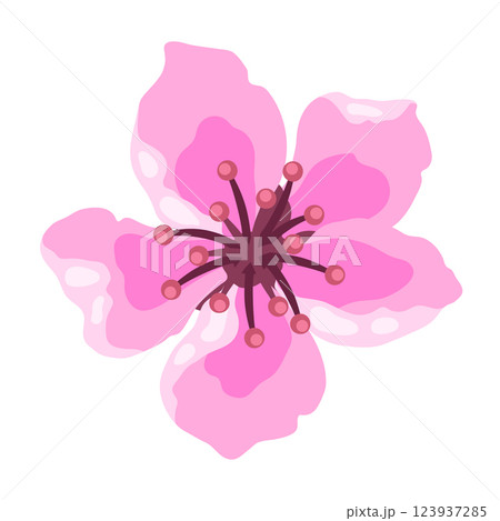 Illustration of spring flower bud. Apple, sakura or cherry blossom. Illustration of spring flower bud. Apple, sakura or cherry blossom. 123937285