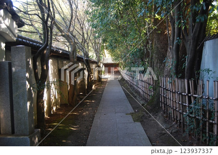 廬山天台講寺の風景 123937337