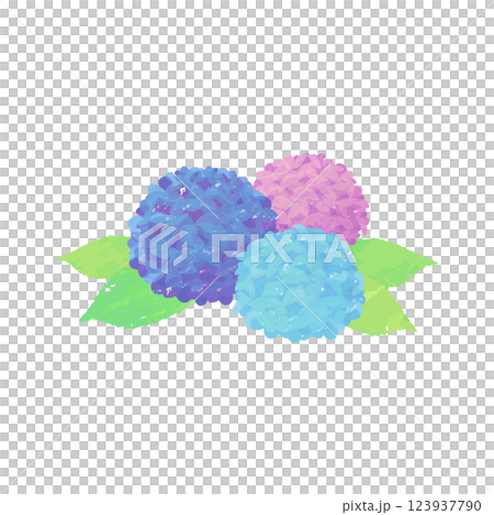 水彩またはクレヨンで描かれた綺麗なアジサイのベクターイラスト 123937790