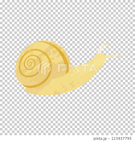 Vector illustration of a snail drawn with watercolors or crayons 123937795