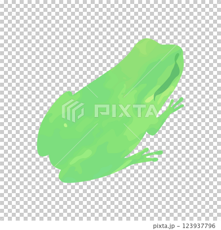 Vector illustration of a frog drawn with watercolors or crayons Vector illustration of a frog drawn with watercolors or crayons 123937796