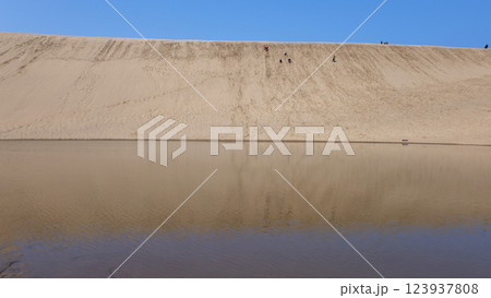 鳥取砂丘 鳥取砂丘 123937808