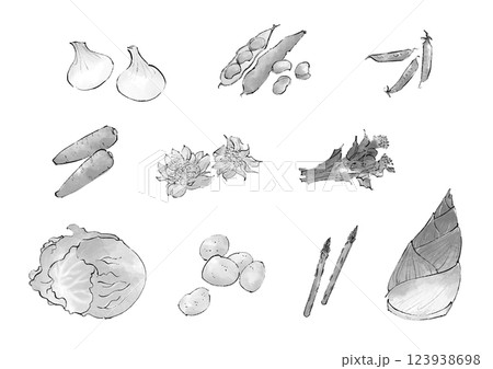 春野菜のイラストセット　モノクロ 123938698