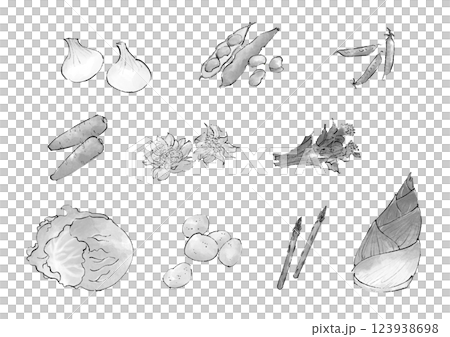春野菜のイラストセット　モノクロ 123938698