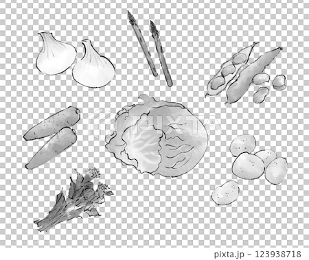 Spring vegetable illustrations in monochrome Spring vegetable illustrations in monochrome 123938718