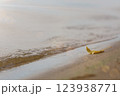 Lonely yellow autumn leaf on the lake shore 123938771