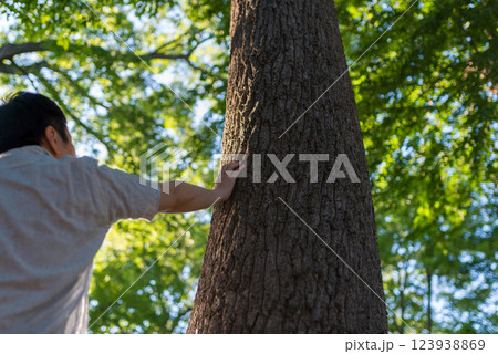 木に手を添える男性の後ろ姿 木に手を添える男性の後ろ姿 123938869