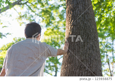 木に手を添える男性の後ろ姿 123938875