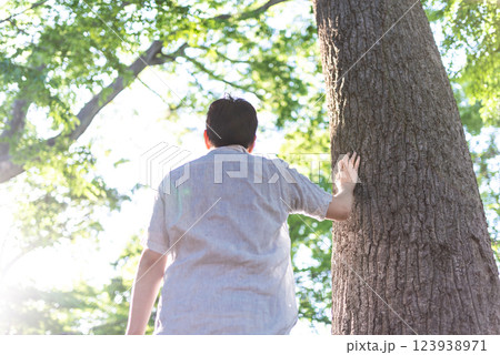 木に手を添える男性の後ろ姿 123938971