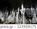 北海道百畳敷洞窟の氷筍 123939175