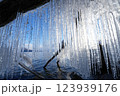 支笏湖のしぶき氷のカーテン 123939176