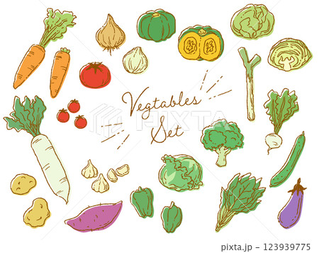おしゃれでラフな雰囲気の野菜のベクターイラストセット(カラー) 123939775