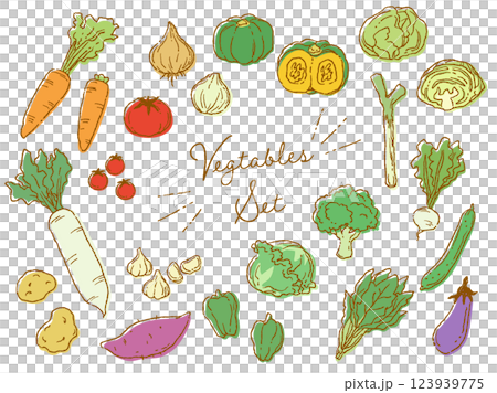 おしゃれでラフな雰囲気の野菜のベクターイラストセット(カラー) 123939775