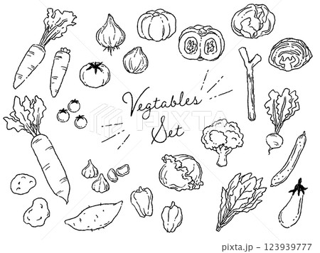 おしゃれでラフな雰囲気の野菜のベクターイラストセット(線画) 123939777