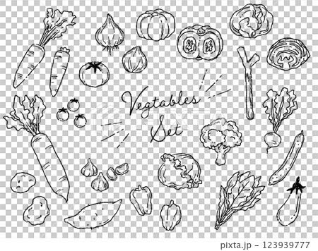 おしゃれでラフな雰囲気の野菜のベクターイラストセット(線画) 123939777