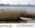 Natural river bank with reeds 123940005