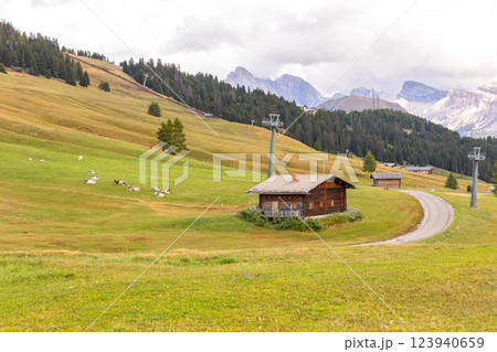 Dolomites Alpe di Siusi, Italy landscape, autumn 123940659