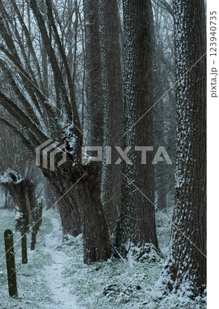 Winter landscape in East Flanders Winter landscape in East Flanders 123940735