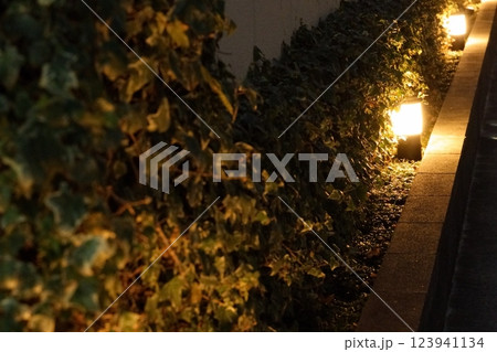 心温まる緑の中の優しい光（静かな夜の散歩道）- 3:2 123941134