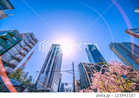 日本の東京都市景観 桜…新時代へ…外国人観光客らで賑わう麻布台ヒルズなどを望む=令和7年3月7日 日本の東京都市景観 桜…新時代へ…外国人観光客らで賑わう麻布台ヒルズなどを望む=令和7年3月7日 123941187