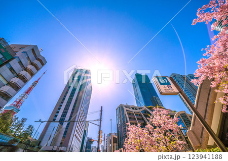 日本の東京都市景観 桜…新時代へ…外国人観光客らで賑わう麻布台ヒルズなどを望む＝令和7年3月7日 123941188