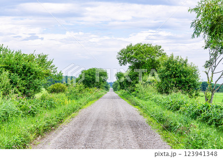 真っ直ぐ続く未舗装路（ダートイメージ） 123941348