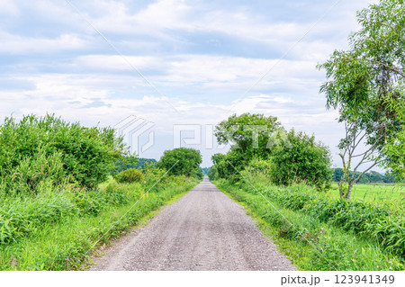 真っ直ぐ続く未舗装路(ダートイメージ) 真っ直ぐ続く未舗装路(ダートイメージ) 123941349