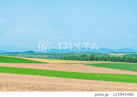 北海道美瑛町 パッチワークのような大地の模様が美しい夏の美瑛(イメージ) 北海道美瑛町 パッチワークのような大地の模様が美しい夏の美瑛(イメージ) 123941400