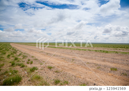 Dirt road in mongolian steppe, Gobi desert landscape, Mongolia 123941569