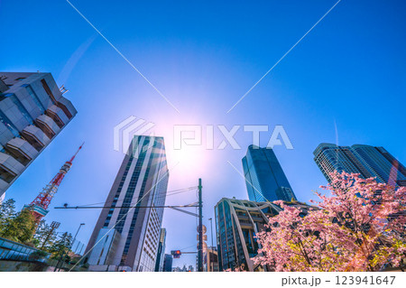 日本の東京都市景観 桜…新時代へ…外国人観光客らで賑わう麻布台ヒルズなどを望む＝令和7年3月7日 123941647