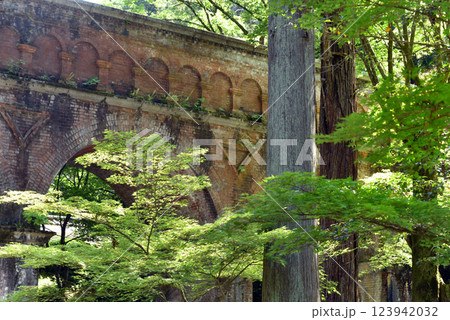 新緑の水路閣 123942032