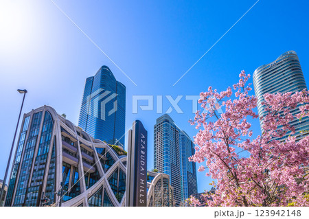 日本の東京都市景観 桜…新時代へ…外国人観光客らで賑わう麻布台ヒルズなどを望む＝令和7年3月7日 123942148