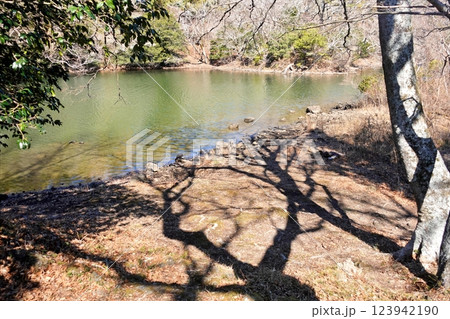 寒い早春の一碧湖風景 寒い早春の一碧湖風景 123942190