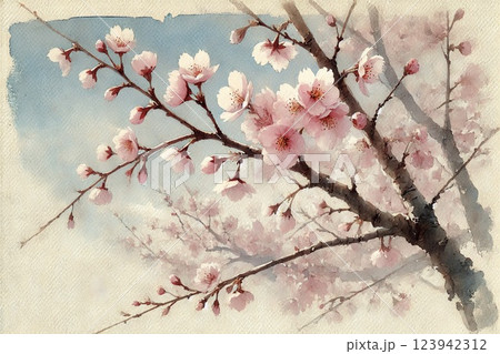 満開の桜 123942312