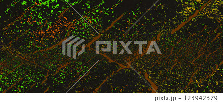 黒地に緑・茶。黄色の傷や斑、粉模様入り藻類の生えた土壌的抽象テクスチャー 黒地に緑・茶。黄色の傷や斑、粉模様入り藻類の生えた土壌的抽象テクスチャー 123942379