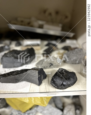 研究室の化石 123942992